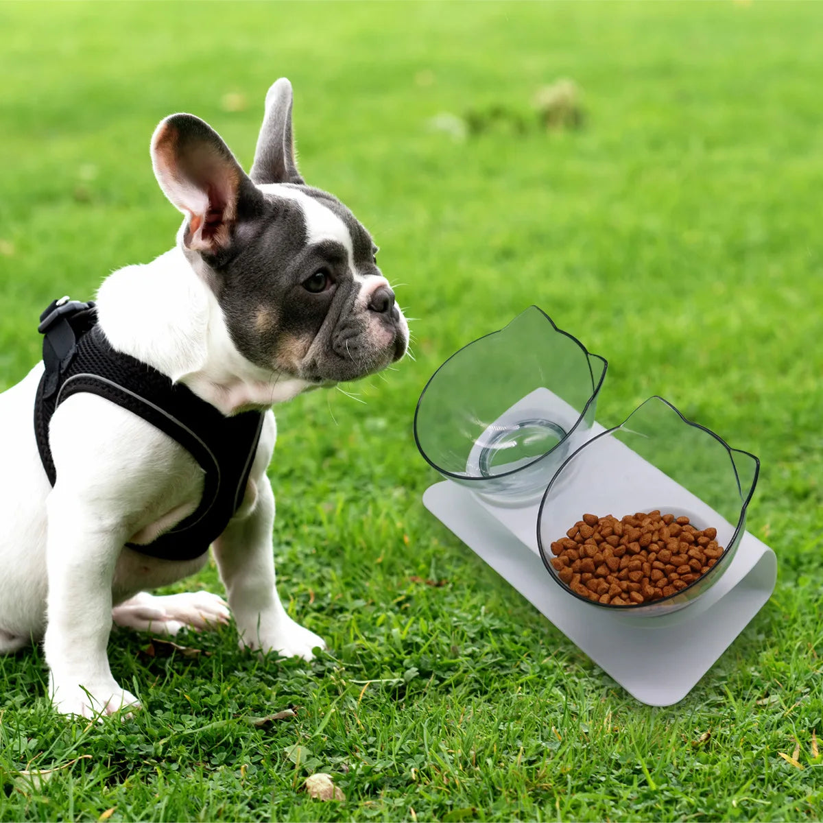 Elevated Anti-Tip Cat Bowl - Large Capacity Food & Water Feeder - FDA Certified Design